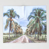 Costa Rican Palms (Blanket)
