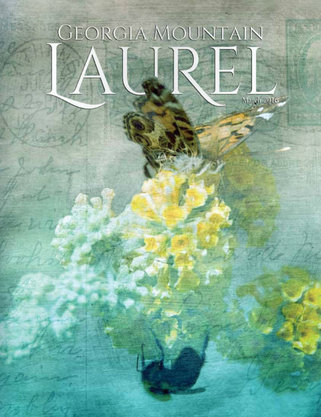 Wingdreamer featured on the cover of Georgia Mountain Laurel Magazine.