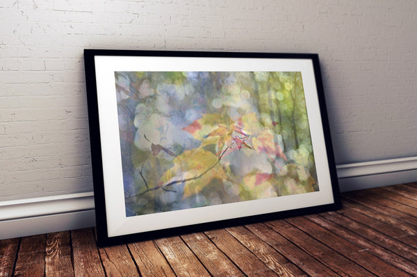 Autumn Light (Unframed Print)