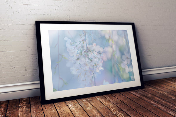 Ode to Fragile Beauty (Unframed Print)