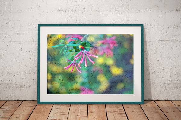 Chara (Unframed Print)