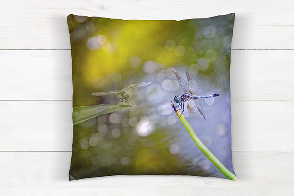 Koi Pond Pillow