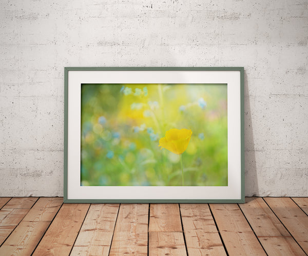 Sunny Day (Unframed Print)