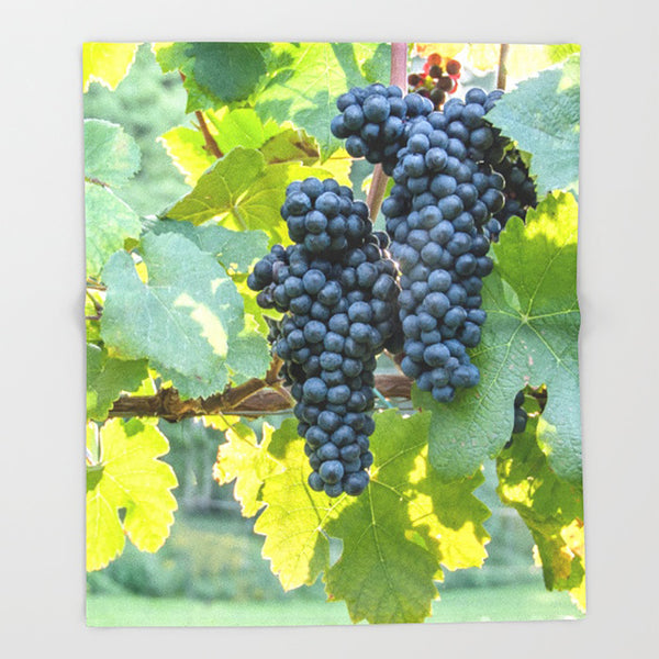 Sunlit Cluster (Blanket)