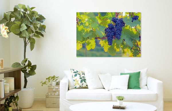 Toward the Sun (Unframed Print)